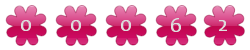 website hit counter
