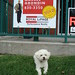 Sold!
