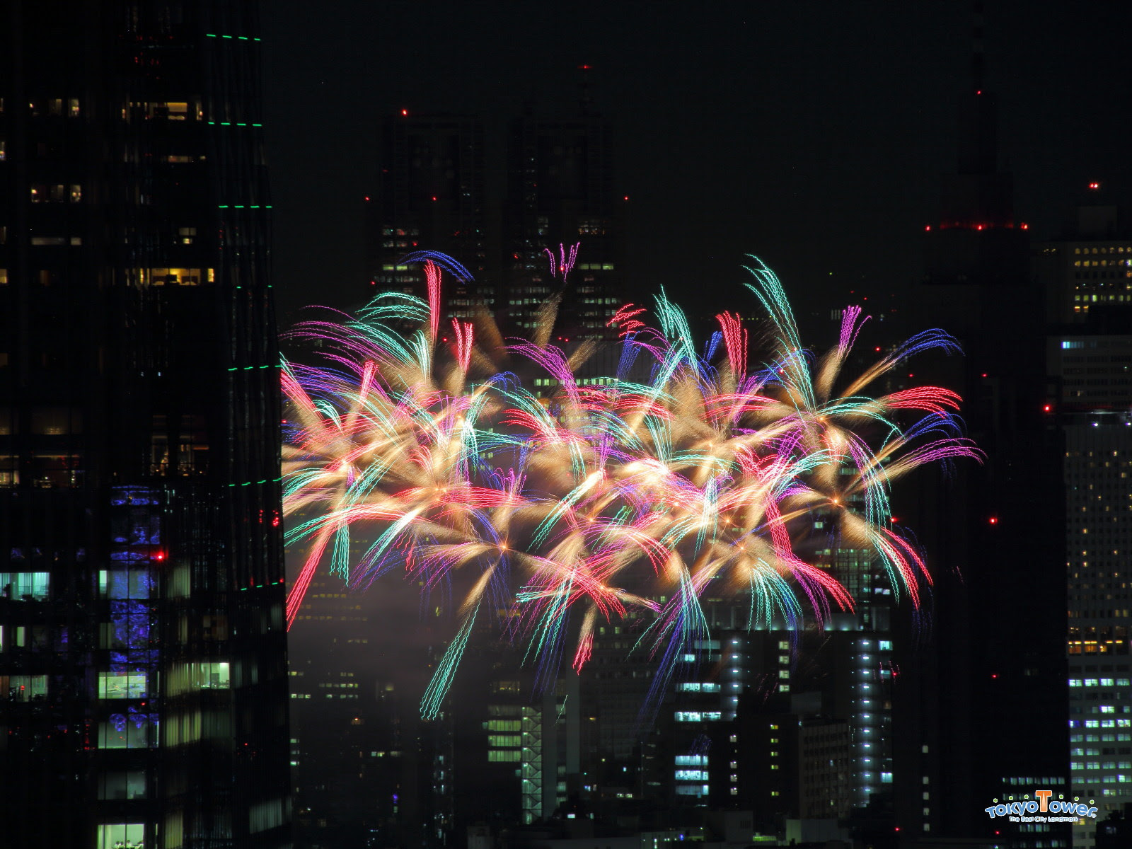 花火大会 ２０１５ 神宮外苑花火大会 東京タワーから