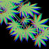 Weed Wallpaper Iphone : Weed Wallpaper Enjpg : 1080x1920 weed wallpaper iphone kecbio on wallpaperbat.