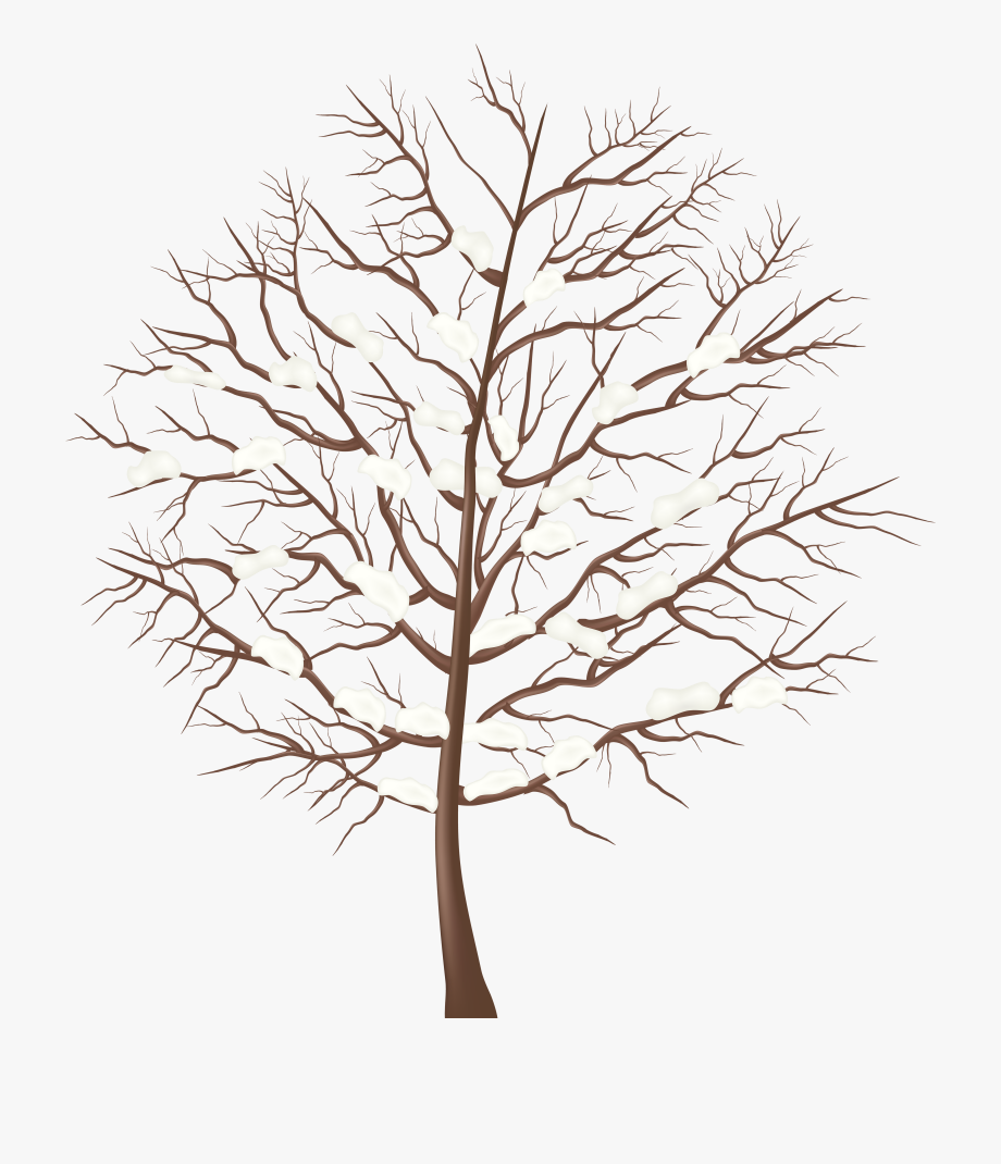 Free Winter Trees Cliparts Download Free Clip Art Free Clip Art On Clipart Library