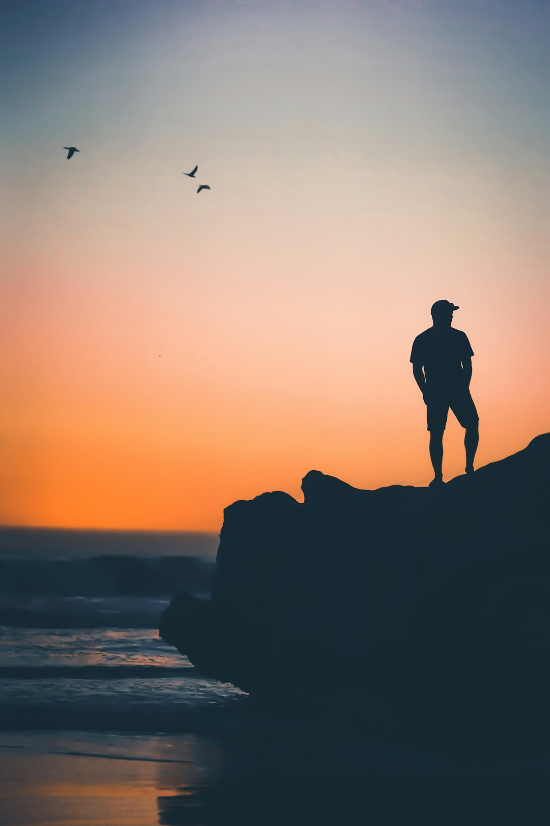 100 Single Images Download Free Pictures On Unsplash