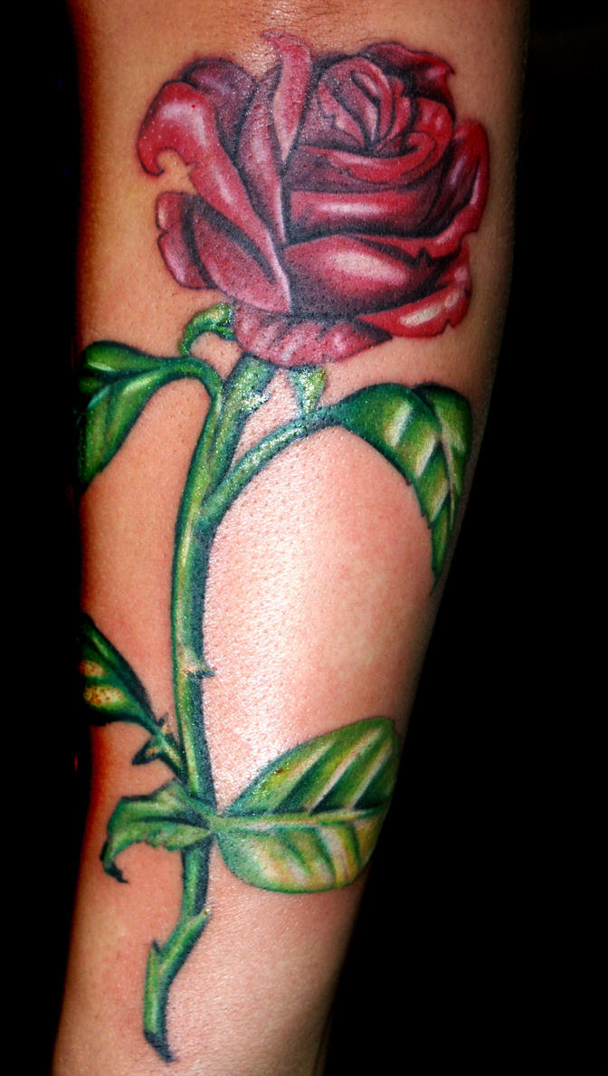 rose tattoo drawings