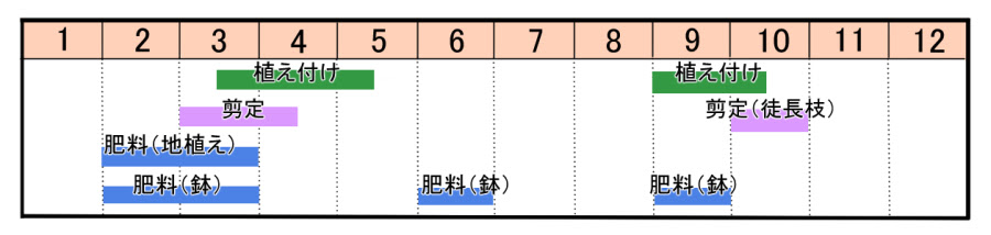 サザンカの育て方 ヤサシイエンゲイ