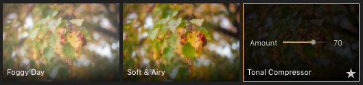 Mastering and Sharing One-Click Presets in Luminar