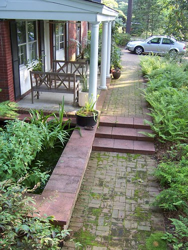 landscape design