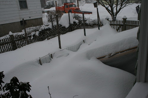 snow 087