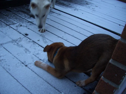 snow on  May 9-3