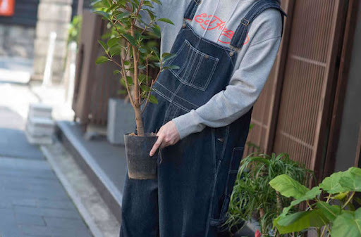 イメージ