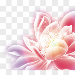 花背景图片素材 免费花背景png设计图片大全 图精灵