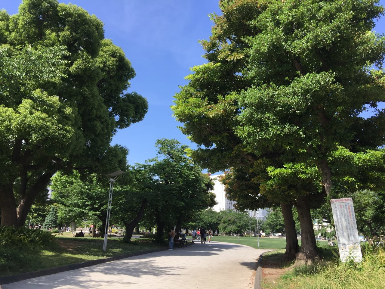 墨田区 ポケモンgoの聖地として有名になった錦糸公園で6 2 日 フリーマーケット開催 号外net 墨田区