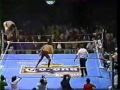Luchas retro: Perro Aguayo vs. Sangre Chicana. Dos tipos que se hubieran reído de la arrogancia violenta de Corona.