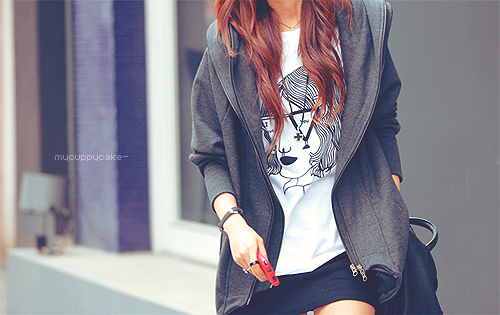 ecosystem food chain. food chain in forest