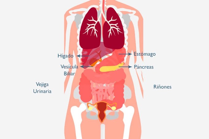 ECOGRAFÍA ABDOMEN TOTAL - BUENAVENTURA - CALI