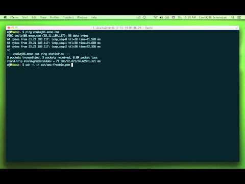 Foto Hosting Free Org