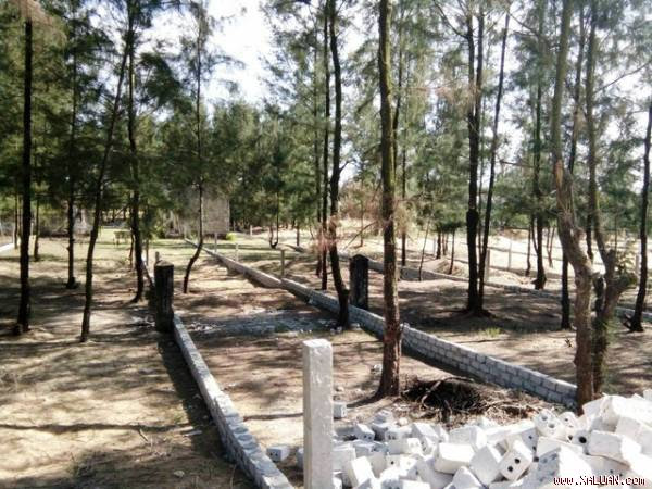 32 hộ dân thôn Châu Thuận Biển tự ý xây dựng tường phân chia diện tích đất bỏ hoang để sử dụng.