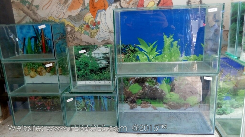 Harga Aquarium Murah Meriah Guys Ferboes com Harga Aquarium Murah Meriah Guys Ferboes com