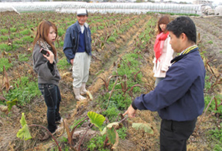 関西食文化研究会 食材研究