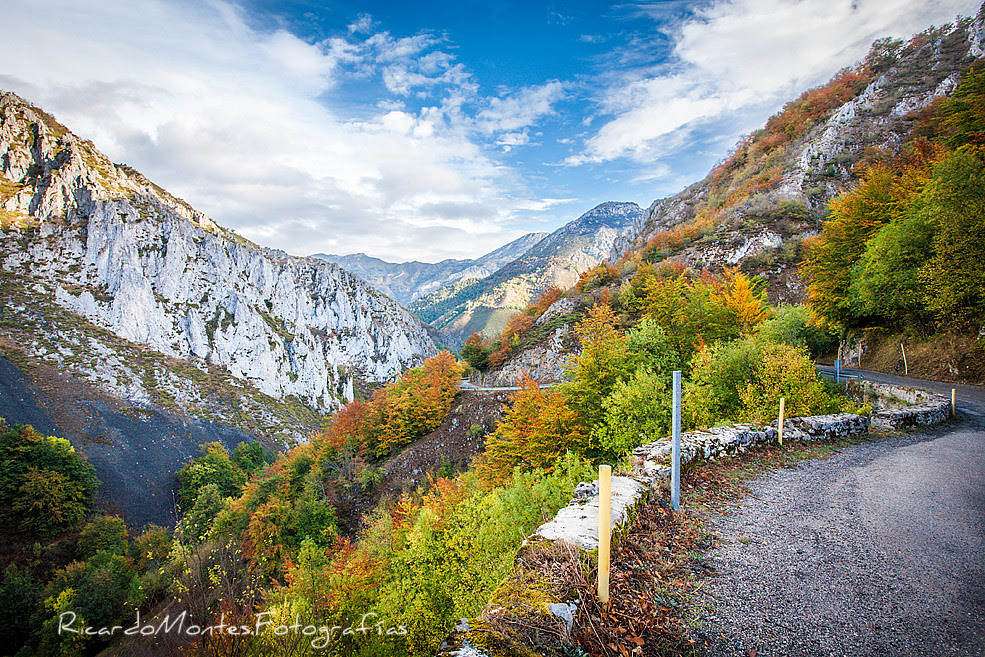 Camino del Otoño