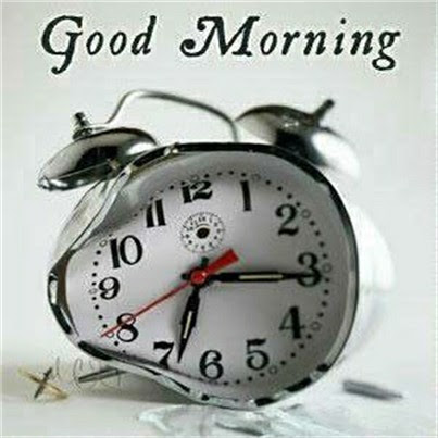 moin moin