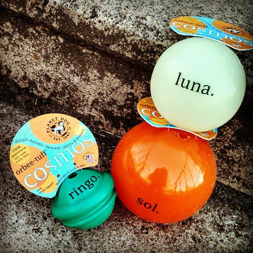 Check out our #PlanetDog #review tomorrow #dogtoys #dogstagram #dogs #balls #Orbee