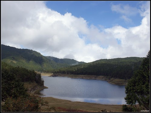 DSC06960