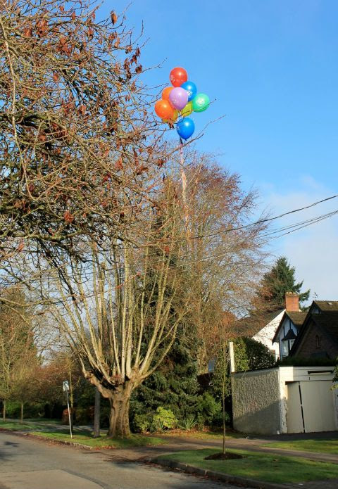 26November2012