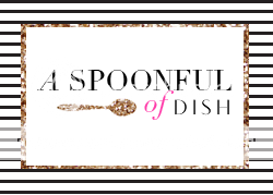 A Spoonful of Dish