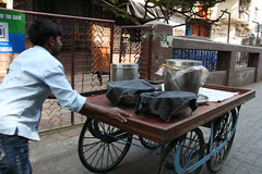 the samajwadi party has given an accidental impetus to goondaism in uttar pradesh.. by firoze shakir photographerno1