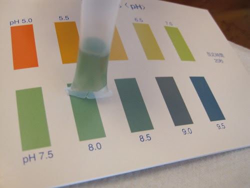 pH test for Beijing tap water.