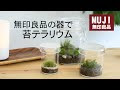 無料ダウンロード テラリ��ム ダイソー 355937-テラリ��ム 土 ダイソー