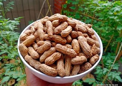 Resep Kacang Rebus