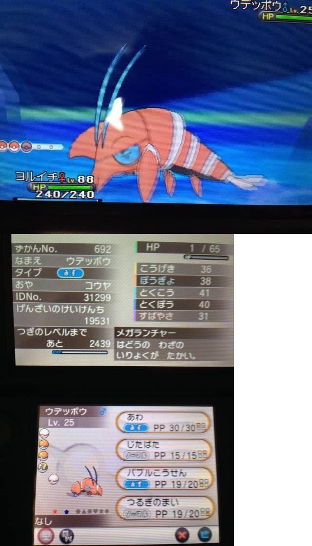 色違い ウデッポウ 日々ポケモン