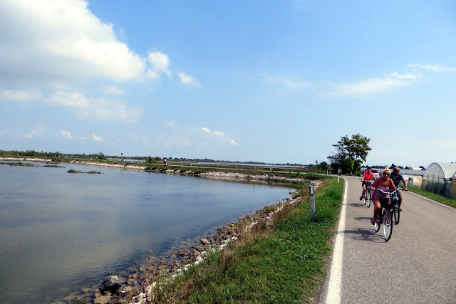 in bici cavallino lio piccolo