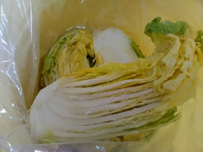 早く水が上がる白菜漬け 二度漬け の作り方 家庭料理のコツ