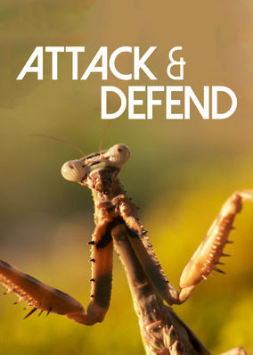 Attack and Defend - Season 1
