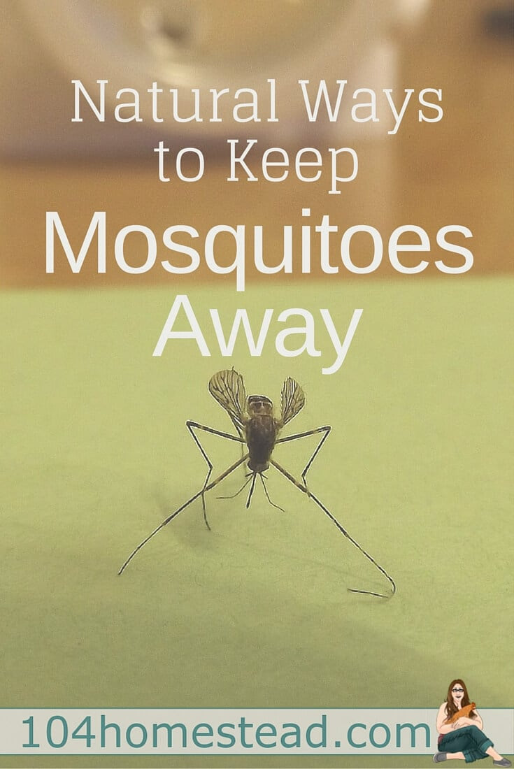 how to keep spirits away from home