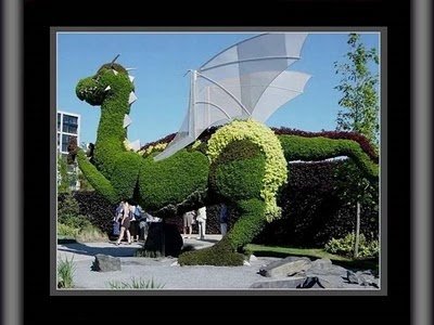 249 New topiary garden in montreal 558 Dragon Topiary   hannah   Pinterest 