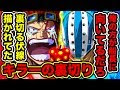 【ベストコレクション】 ワンピース smileとは 119036