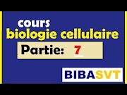 Updated La biologie cellulaire Ep le glycocalix de la membrane plasmique, Video Membrane Cellulaire Newest!