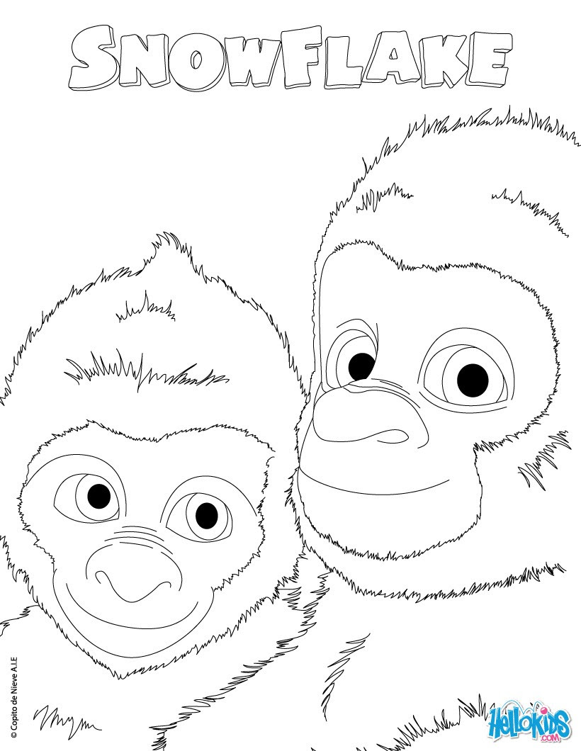 singe04 01 01 source b7u