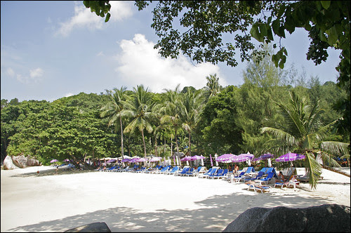 I accept non been for a few years together with accept been told Paradise Beach is straight off an exclusive Bangkok Map; Paradise Beach Phuket