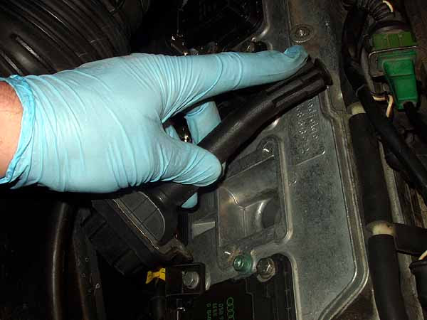  are cracking but relatively  expensive from an Audi dealership  Best Audi A8  Replacing A8 Sparkplugs