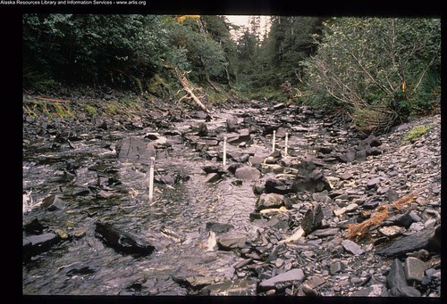 prince william sound oil spill. Exxon Valdez Oil Spill - 0118