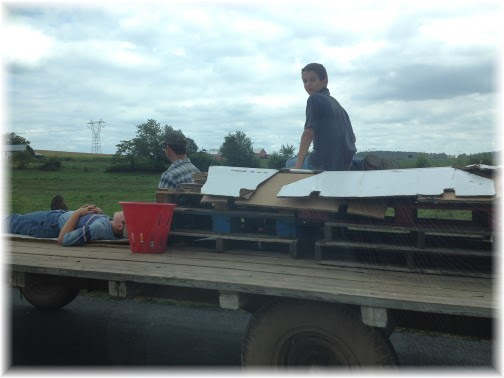 Lancaster County Mennonite harvest scene 9/10/14