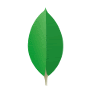 MongoDB