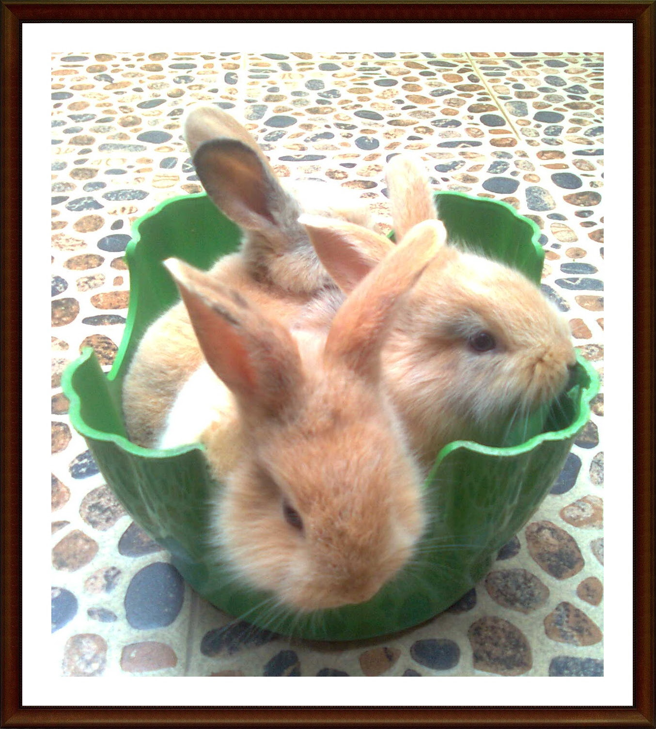 Indeks Judul Opac Usu Library  indeks judul opac usu 