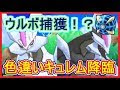 [ベスト] ポケモン ウルトラサンムーン 伝説 197117-ポケモンウルトラサンムーン伝説