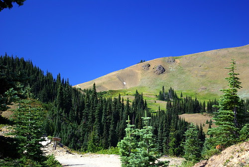 2010-08-28 Hurricane Ridge (46)