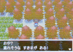 隠し穴の場所と出現するポケモン ポケモン ブラック2 ホワイト2 Bw2 攻略広場